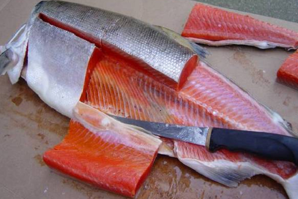 صادرات ماهی قزل آلا 